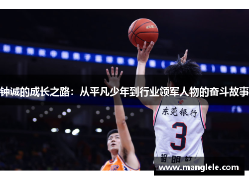 钟诚的成长之路：从平凡少年到行业领军人物的奋斗故事